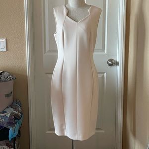 Calvin Klein pencil style and princess seams dress